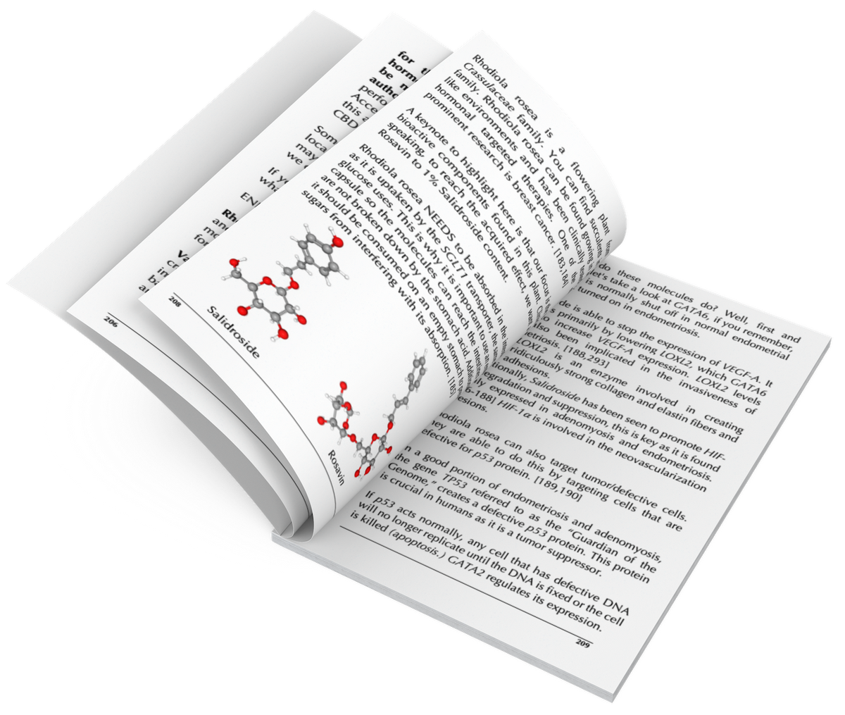 Endolls Book the burning path ahead endometriosis guide with medical references