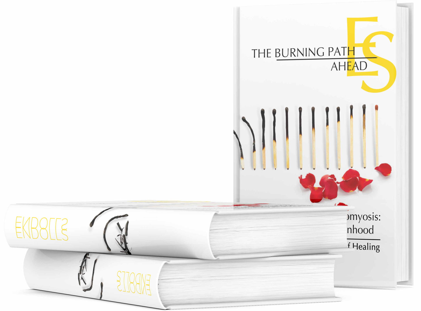 Endolls Endometriosis book The burning path ahead 