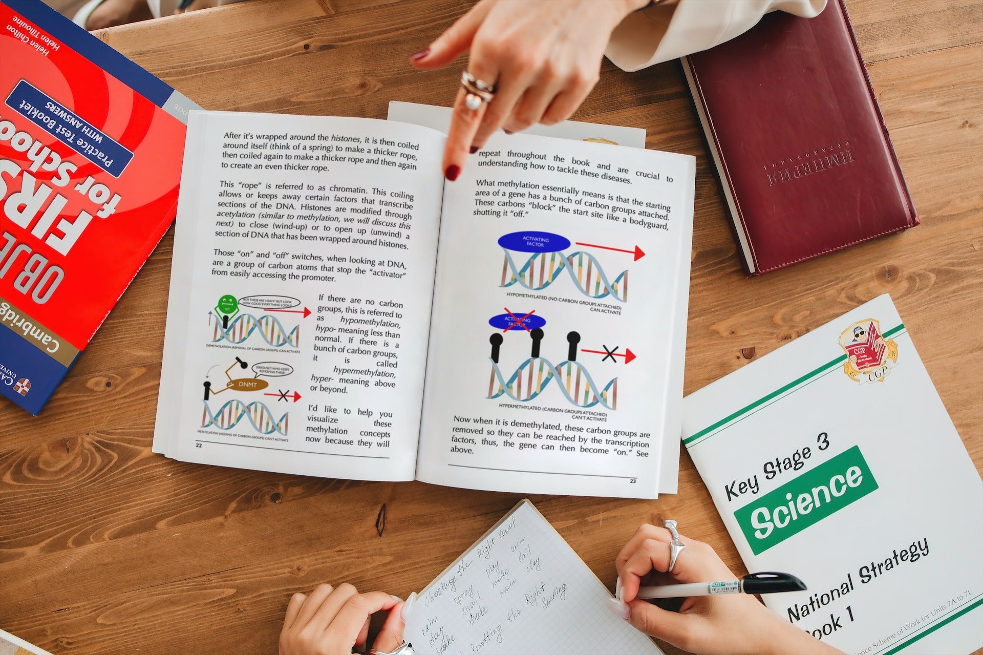 ENDOLLS | A Daily Regimen For Endo Warriors – ENDOLLS