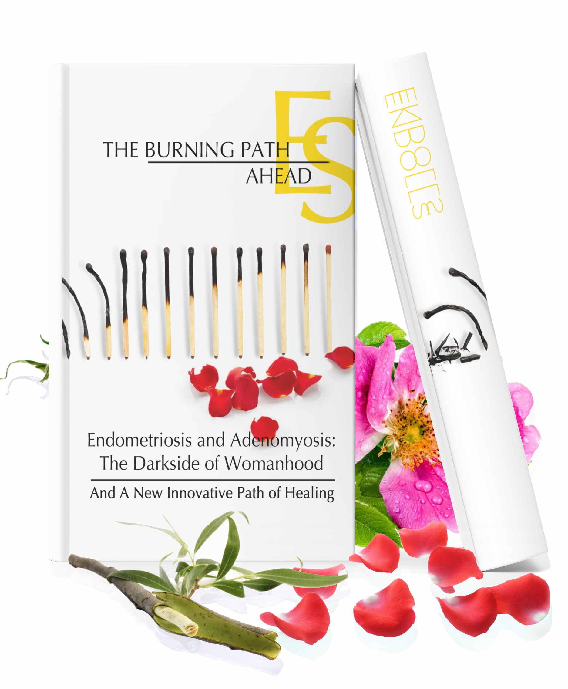 Endolls Endometriosis relief the burning path ahead book cover